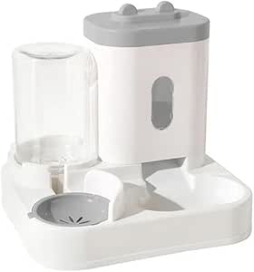 2 in 1 Automatic Pet Feeder
