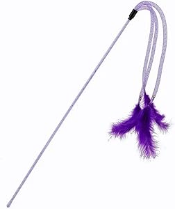 Elastic Tassel Teasing Long Handle with Feather Interactive Cat Toy (Purple)