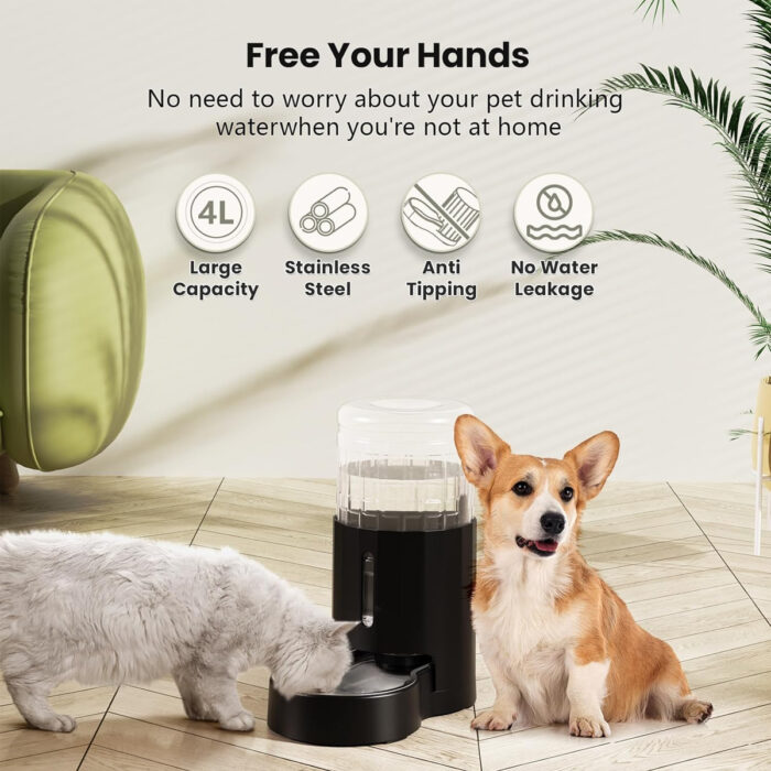 4L water dispenser2