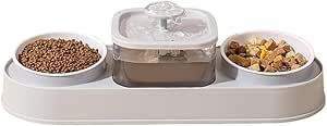 Double Bowl Elevating Pet Food Container With Automatic Water Fountain Feeder (Gray)