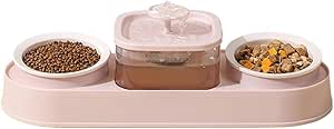 Double Bowl Elevating Pet Food Container With Automatic Water Fountain Feeder (Pink)