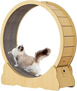 Cat Exercise Wheel – Durable Wheel for Cats