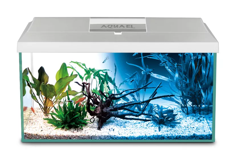 Aquael Aquarium Set Leddy 60 White Day & Night