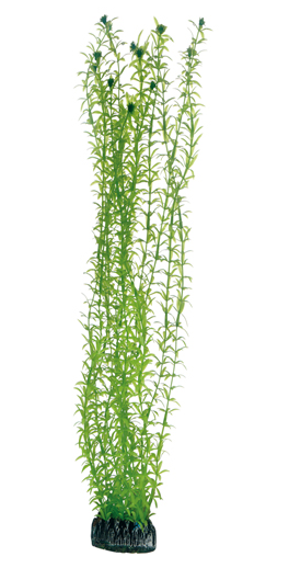 Artificial Plant - Lagarosiphon 60 cm