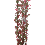 Artificial Plant - Ludwigia 60 cm