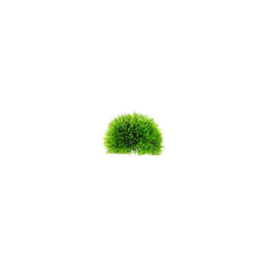 Artificial Plant - Plant Ball Medium