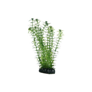 Artificial plant - Lagarosiphon