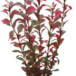 Artificial plant - Ludwigia 25 cm