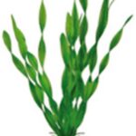Artificial plant - Vallisneria 34 cm