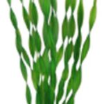 Artificial plant - Vallisneria 46 cm