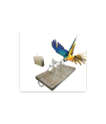 Vanpet Bird Playground (Foldable)-38 x30x10 cm-BTLB03009