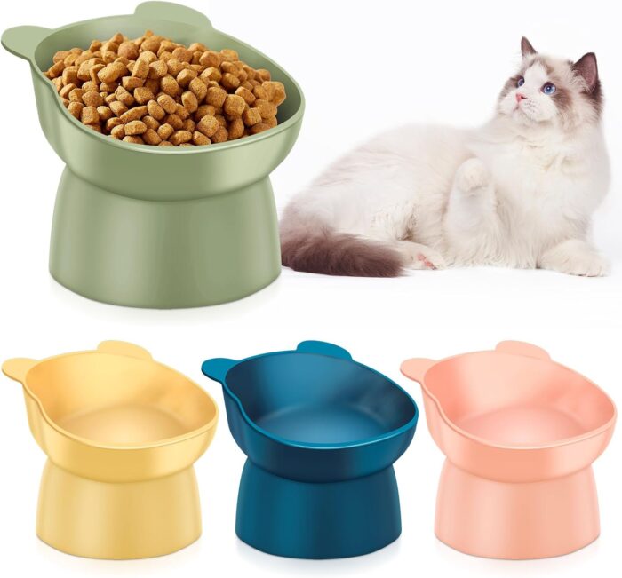 Bearbowl1