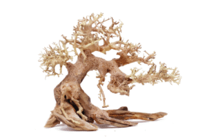 Bonsai Wood - Medium / 30x23x17CM / box