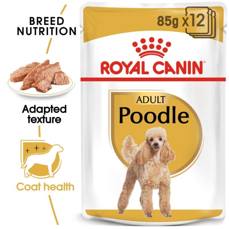 Royal Canin Breed Health Nutrition Poodle Adult 12x85g