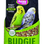 Budgie Special Mix - 1 Kg