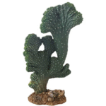 Cactus Victoria 22 cm