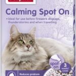 Calming Spot on Cat