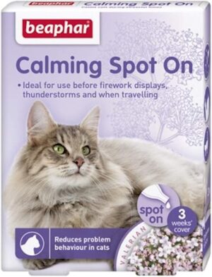 Calming Spot on Cat