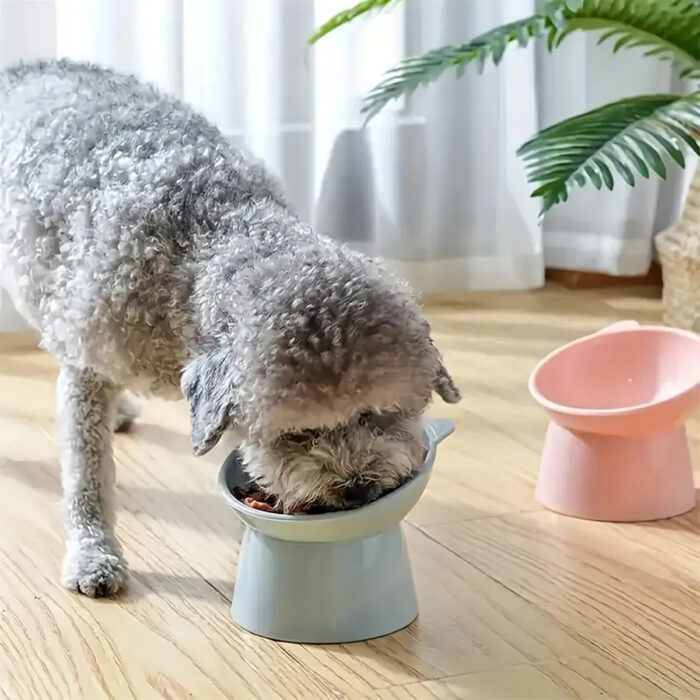 CatEarbowl9