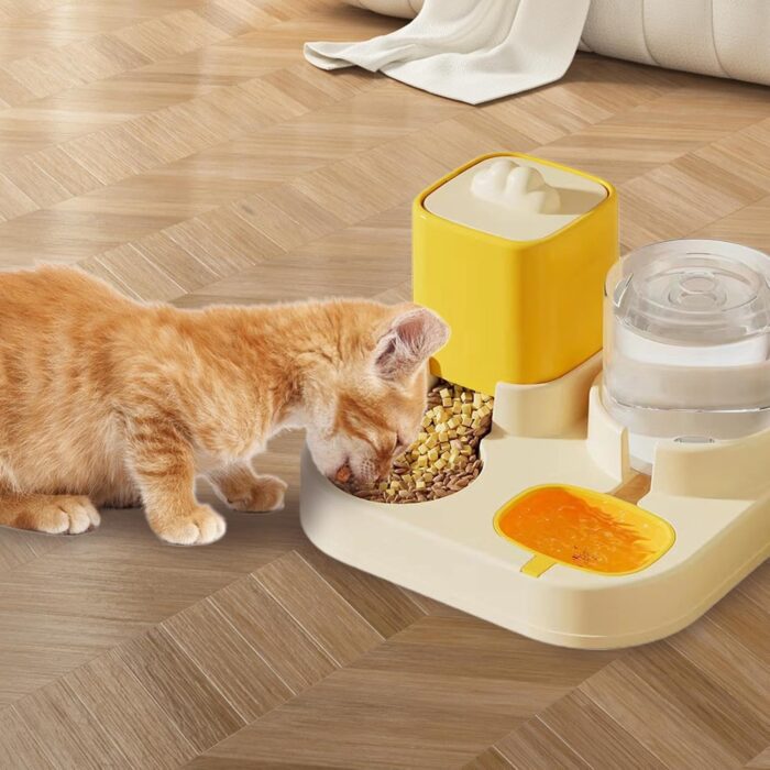 CatFeed2