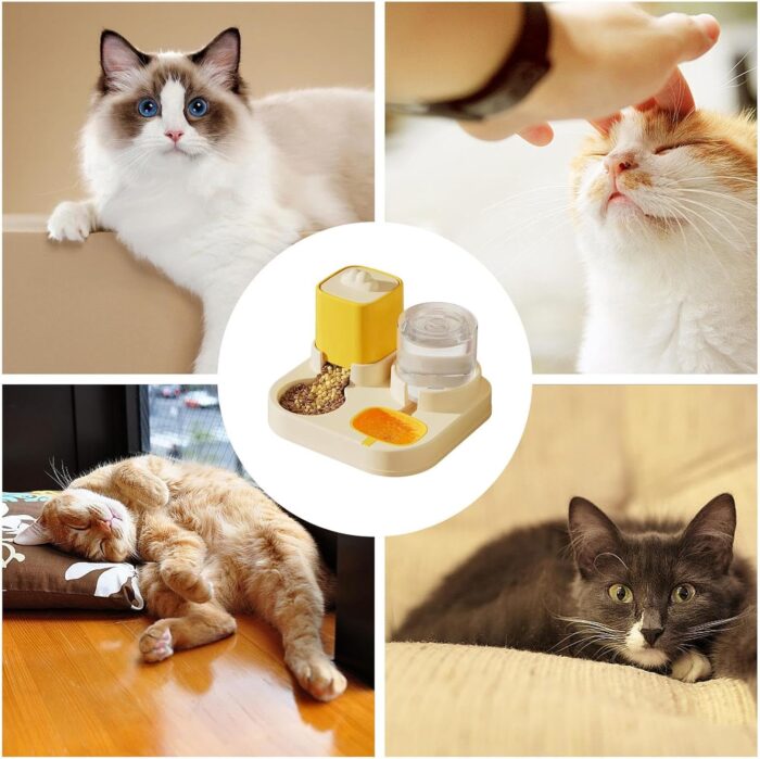 CatFeed7