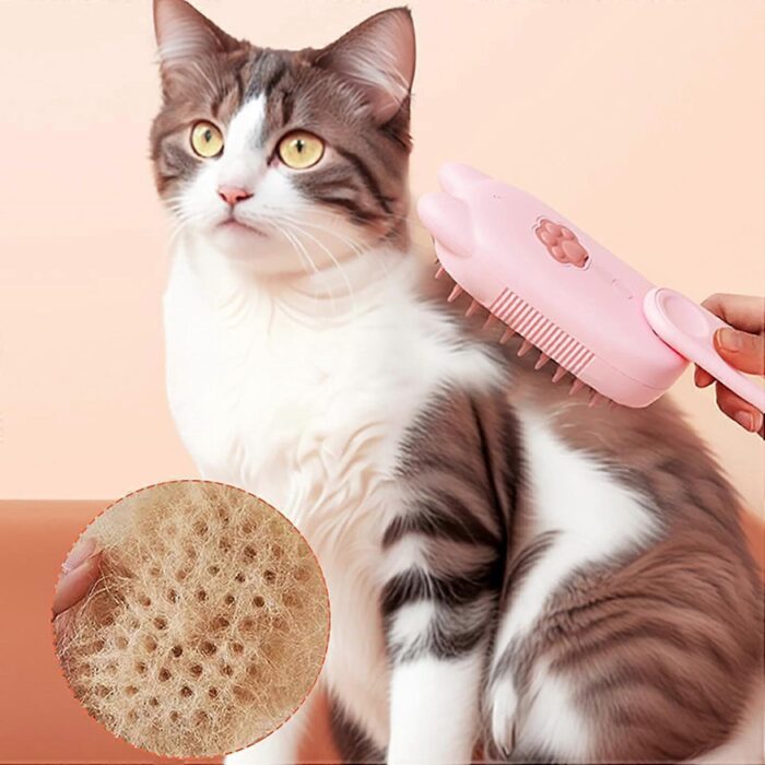 Catbrush8