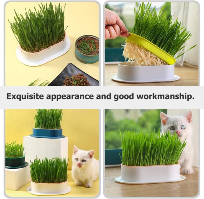 Catgrasscup3