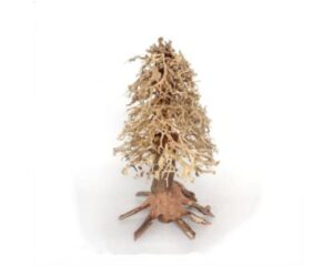 Christmas Tree Bonsai Wood - Medium / 15x20x15cm / BOX