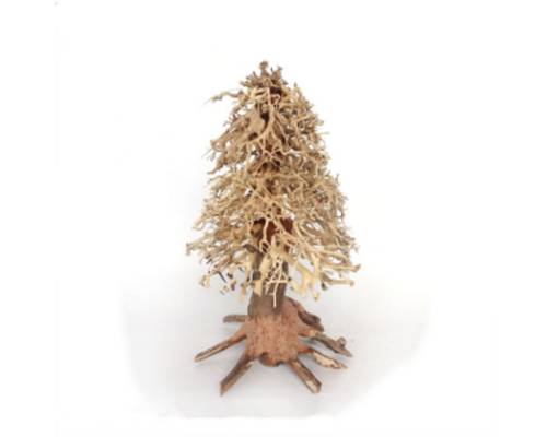 Christmas Tree Bonsai Wood - Medium / 15x20x15cm / BOX