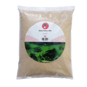 Daisy Yellow 8KG