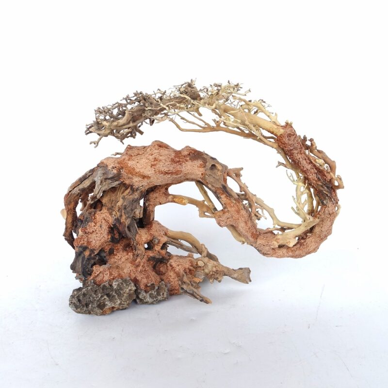 [BOX OF 6 PCS] Dragon like Wood Tree Medium 30×23×13cm