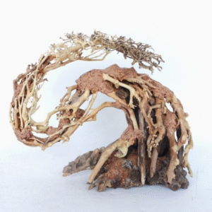 Dragon-like Wood Tree - Small / 22x15x10cm / BOX
