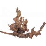 Drift Wood - XL / 50-80cm / pc