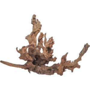 Drift Wood - XL / 50-80cm / pc