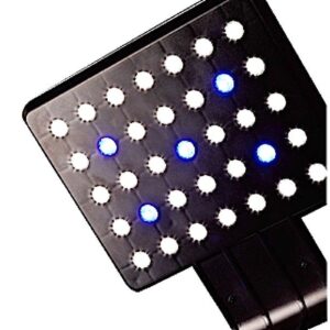 Dymax L-MAX Led Light