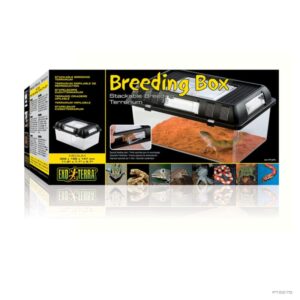 Exo Terra Breeding Box - Medium
