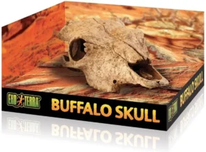 Exo Terra Buffalo Skull