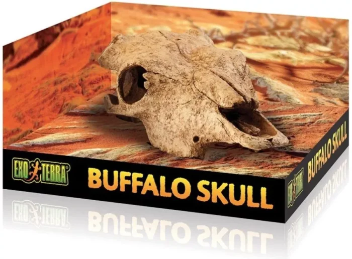 Exo Terra Buffalo Skull
