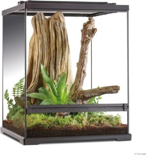 Exo Terra Dart Frog Terrarium Amphibian Habitat 45 x 45 x 60 cm