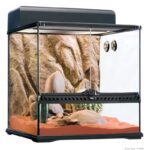 Exo Terra Habitat Kit Desert - Medium