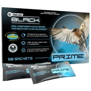 Falcon Black Prime 50 sachets