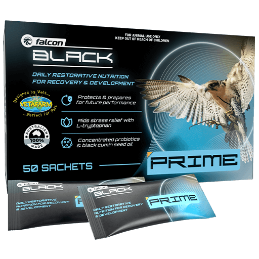 Falcon Black Prime 50 sachets