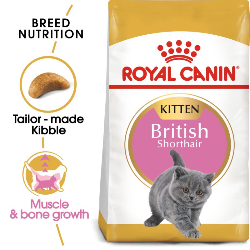 Royal Canin Feline Royal Canin Breed Nutrition British Shorthair Kitten 2kg