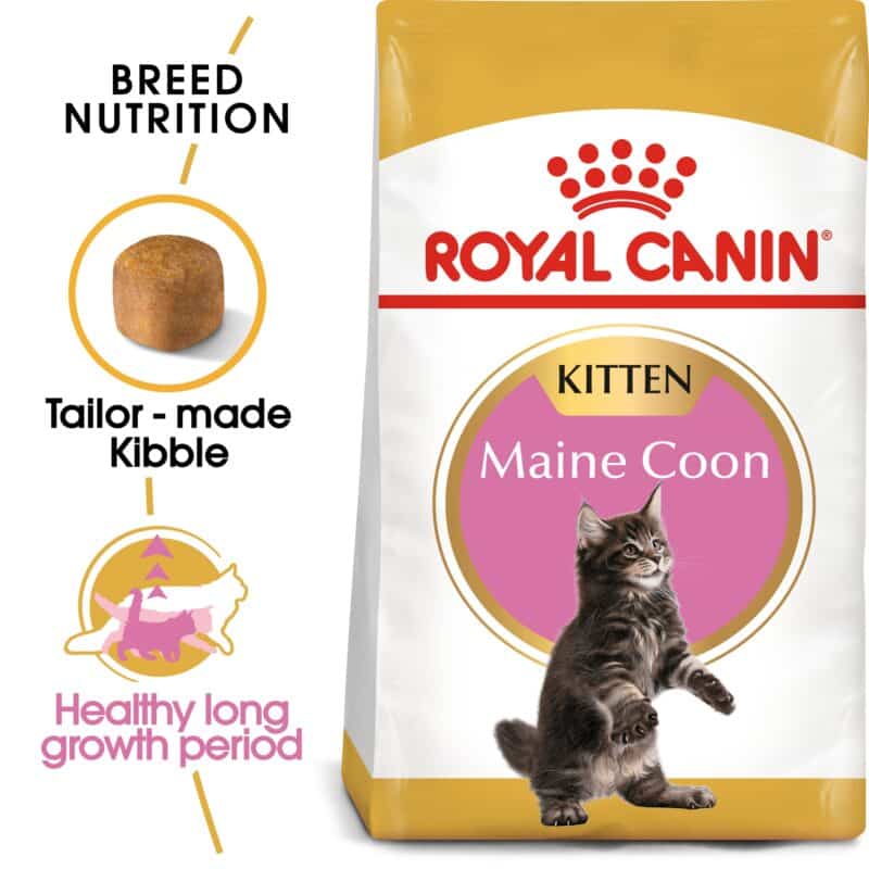 Royal Canin Feline Royal Canin Breed Nutrition Maine Coon Kitten 2kg