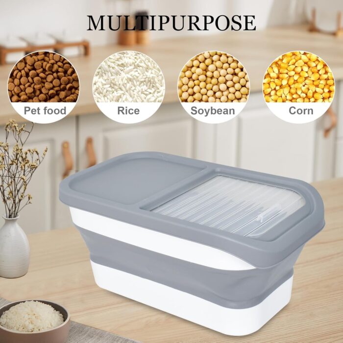 Foodcontainer4