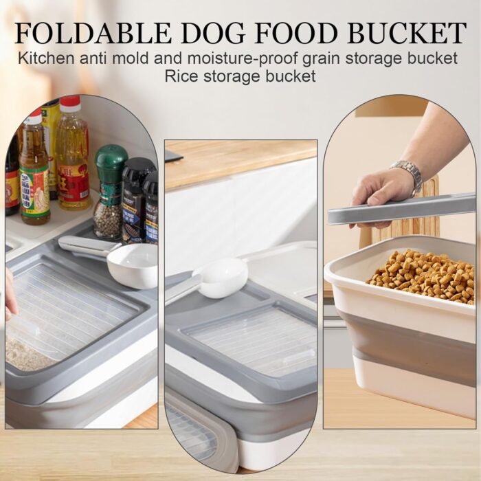 Foodcontainer6