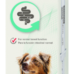 IntestoPro Anti Diarrhea Paste Syringe Large Dog 2 x 20ml