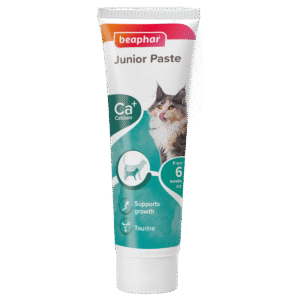 Junior Paste - Cat / 100 g