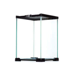 Kit Insect 20 x 20 x 30 cm Black