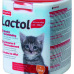 Lactol Kitten - 500g